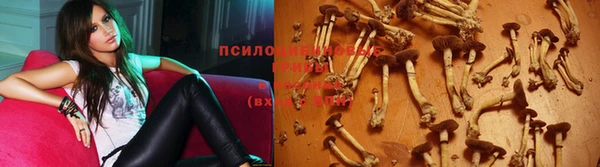 герыч Алексеевка