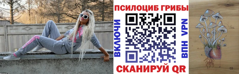 купить закладку  площадка какой сайт  Галлюциногенные грибы мицелий  Ачинск 